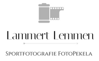 Logo Lammert Lemmen